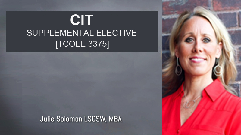 CIT Supplemental Elective [2026] [TCOLE 3375]